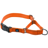 Max and Neo Nylon Martingale Donation Collar review