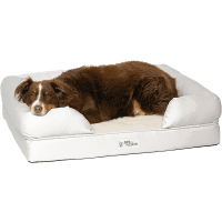 PetFusion Ultimate Orthopedic Memory Foam Dog Bed review