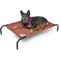 Coolaroo Original Elevated Cooling Dog Bed review