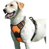 Eagloo Adjustable No Pull Dog Harness with Handle review