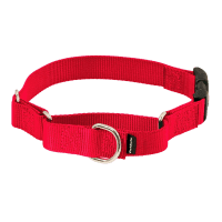 PetSafe Quick Snap Martingale Collar review