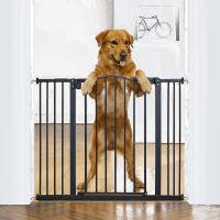 InnoTruth Ultimate Auto-Close Safety Pet Gate review