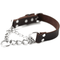 Mighty Paw Premium No Pull Training Collar review