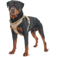 Auroth Tactical No Pull Pet Harness review