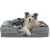 Bedsure Orthopedic Dog Bed for Medium Dogs review
