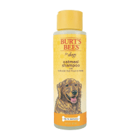 Burt's Bees Shampoo review