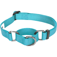 Blueberry Pet Essentials Training Dog Collar review