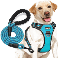 tobeDRI Reflective No Pull Dog Harness with Leash review
