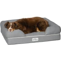 PetFusion Ultimate Dog Lounge Memory Foam review
