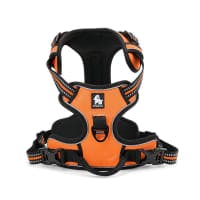 PetsUp Front Range No Pull Dog Harness review