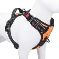 PHOEPET Reflective Front Clip No Pull Dog Harness review