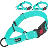 Haapaw Quick Release Reflective Martingale Collar review