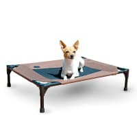 K&H Pet Products Mesh Center Elevated Dog Bed review