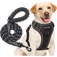 tobeDRI No Pull Adjustable Dog Harness with Leash review