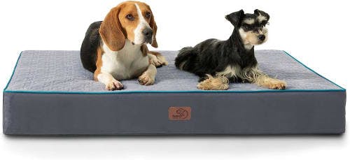 Bedsure Orthopedic Gel Memory Foam Dog Bed review