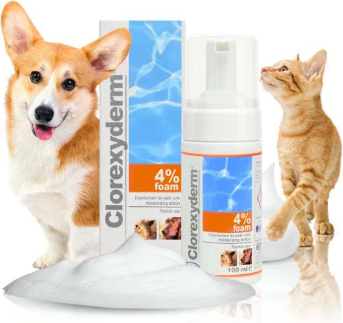 ICF Clorexyderm Antifungal Pet Foam Mousse review