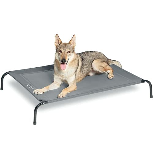 Bedsure Elevated Cooling Dog Bed with Mesh review