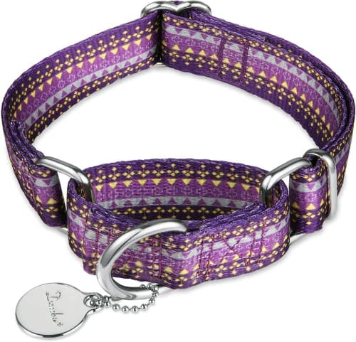 Dazzber Heavy Duty No Pull Martingale Dog Collar review