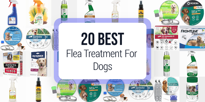 best flea treatment for dogs