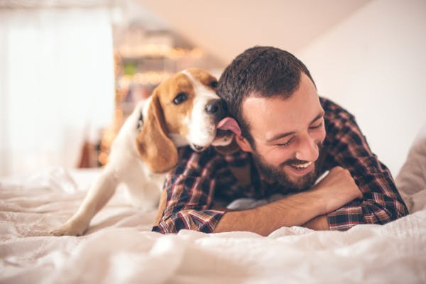 How to Train Your Dog with Praise and Affection