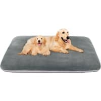 Magic Dog Orthopedic Foam Bed with Washable Cover review