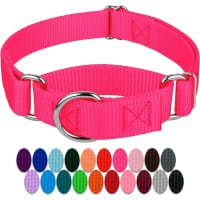 Country Brook Design Martingale Nylon Dog Collar review