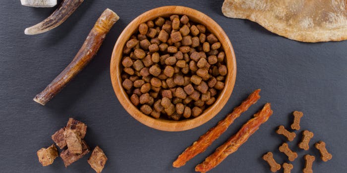 Best Dog Treats - The Healthiest and Natural Dog Treats